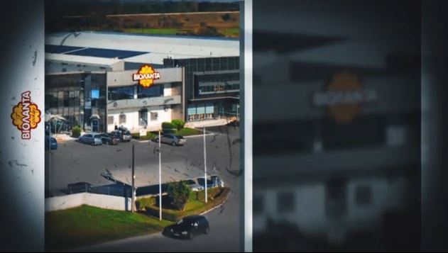 Η ιστορία των μπισκότων «Βιολάντα» – Ο συνοικιακός φούρνος που έγινε κορυφαία βιομηχανία