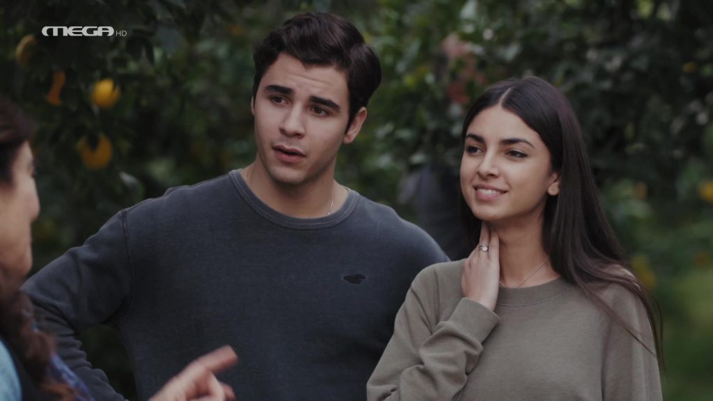 Η Γη της Ελιάς