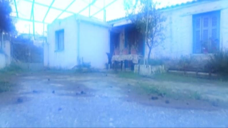 Επιστάτης Κώστα Γρεβενίτη: «Με είχαν ως βασικό ύποπτο και δεν έψαχναν αλλού…»