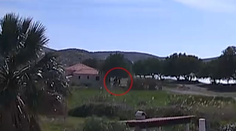 Μυτιλήνη: «Δεν ξέρω, δεν είδα, ήμουν στο χωράφι» – Τι ανέφερε μάρτυρας για τον θάνατο του λιμενικού