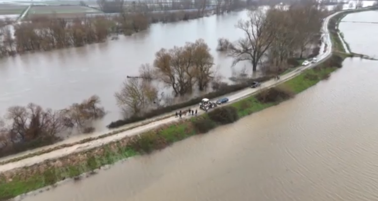 Βιβλική καταστροφή στον Έβρο – Πάνω από 150.000 στρέμματα γης έχουν καλυφθεί από νερό