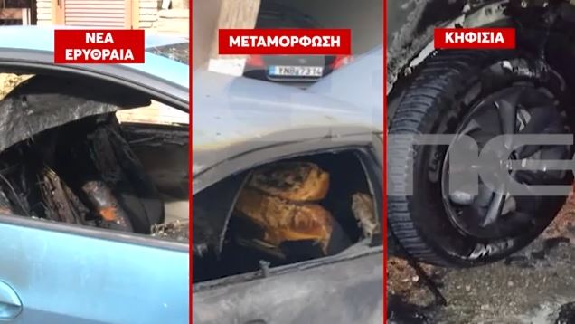 Αττική: Νέες αποκαλύψεις για τη δασκάλα γιόγκα με τις εμπρηστικές επιθέσεις – «Είναι ατίθαση κοπέλα»