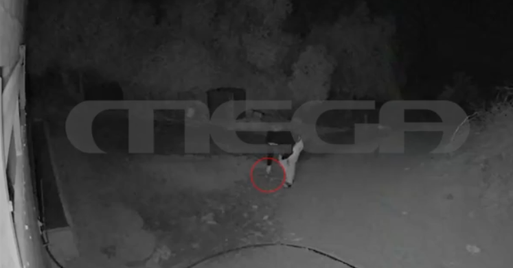 Κρήτη: Βίντεο ντοκουμέντα από την επίθεση στον κτηνοτρόφο που του έκοψαν τη γλώσσα – Στο Live News το θύμα