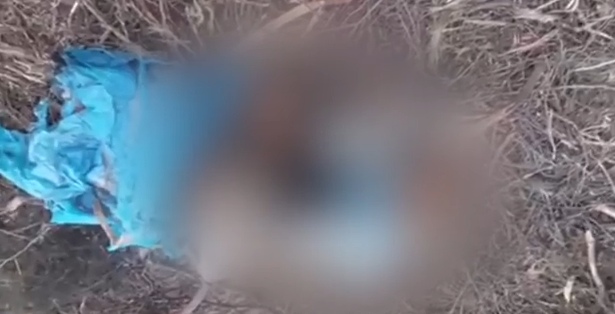 Χαλκιδική: Βρέθηκε ακέφαλη σορός γυναίκας σε σακούλες – Ήταν σε προχωρημένη αποσύνθεση