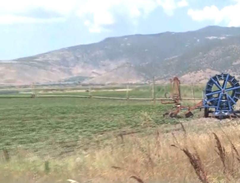 Σύσκεψη Αγροτών δυτικής Θεσσαλονίκης: Επί τάπητος οι δυσκολίες της καλλιέργειας ρυζιού