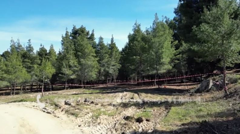 Χαλκιδική: «Φοβάμαι μήπως είναι η κόρη μου το θύμα της βαλίτσας»