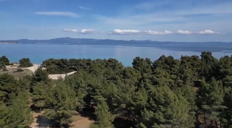 Χαλκιδική: «Λειτουργούσαν πολλά μπαράκια αλλά κανείς δεν φαίνεται να είδε κάτι»