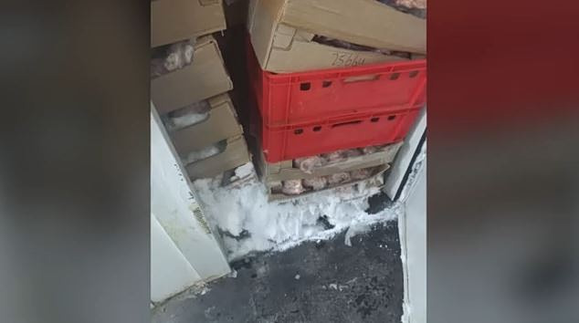 Πειραιάς: Υγειονομική «βόμβα» 3,5 τόνων επικίνδυνων κρεάτων εντόπισε και κατέσχεσε η Περιφέρεια Αττικής