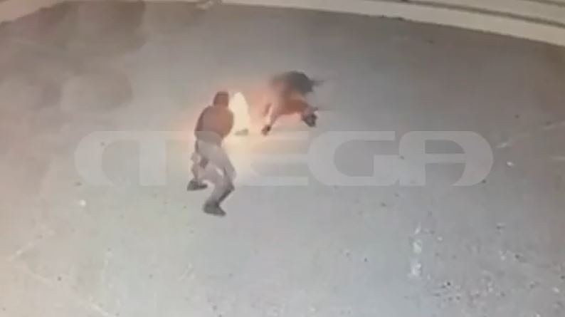 Κρήτη: Μαθητές κατασκεύασαν εκρηκτικό μηχανισμό με οδηγίες από το Tik Tok – Βίντεο ντοκουμέντο από τη στιγμή της έκρηξης