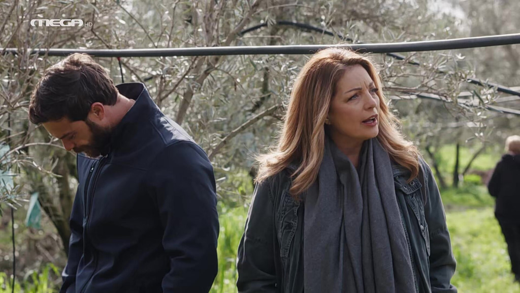 Η Γη της Ελιάς