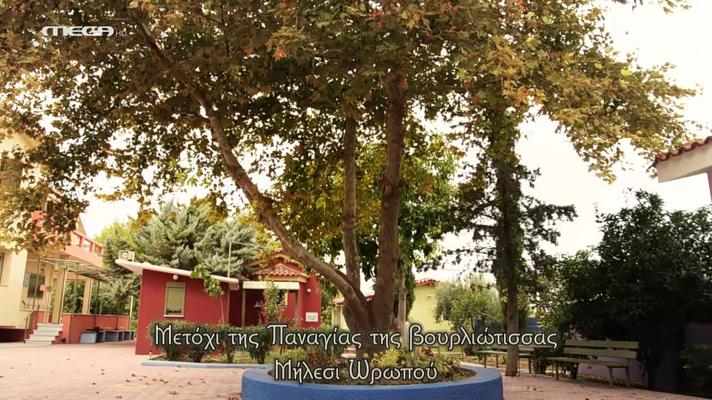 Ιερά Μονή Παναγία η Βουρλιώτισσα - 