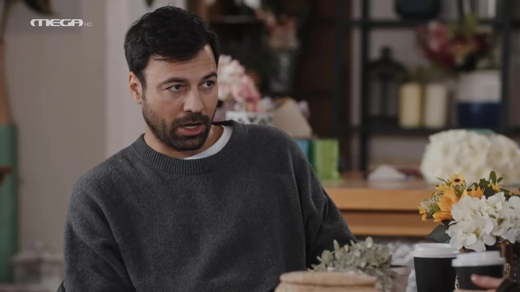 Η Γη της Ελιάς