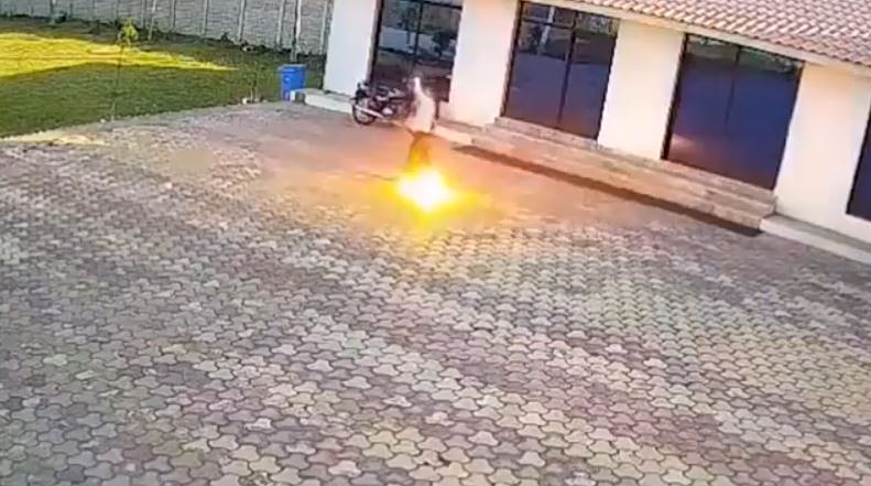 Ινδία: Άνδρας έπαθε ηλεκτροπληξία στην προσπάθειά του να διώξει μαϊμού