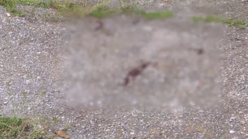 Πυροβόλησαν 28χρονο Τούρκο στη Θεσσαλονίκη – Είχε οικονομικές διαφορές με ομοεθνείς του