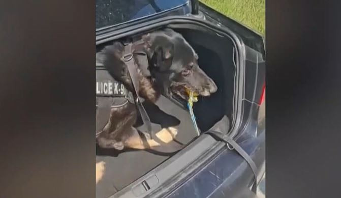 Θεσσαλονίκη: Ο «Ακύλας» ξετρύπωσε πάνω από 1 κιλό κοκαΐνης σε πορτ μπαγκάζ αυτοκινήτου