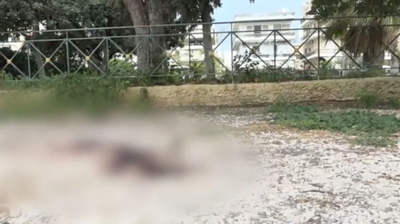 Άγιος Δημήτριος: Άγρια δολοφονία 27χρονου στο πάρκο Ασυρμάτου – Ερωτική αντιζηλία η αφορμή