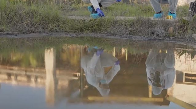 Σιθωνία: Μακάβριο εύρημα σε ξενοδοχειακό συγκρότημα – «Ένα κρανίο & οστά ανθρώπινα»