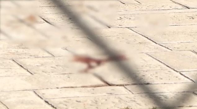 Μαρούσι: 27χρονη έπεσε δύο φορές από μπαλκόνι πολυκατοικίας – Συνελήφθη ο σύντροφός της