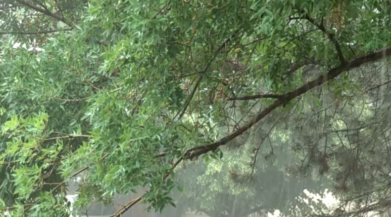 Τραγωδία στη Νέα Μάκρη με έναν νεκρό από την κακοκαιρία Erminio – Παρασύρθηκε από χείμαρρο και κατέληξε κάτω από όχημα