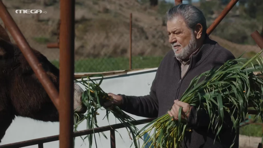 Η Γη της Ελιάς