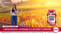 29/05/2026