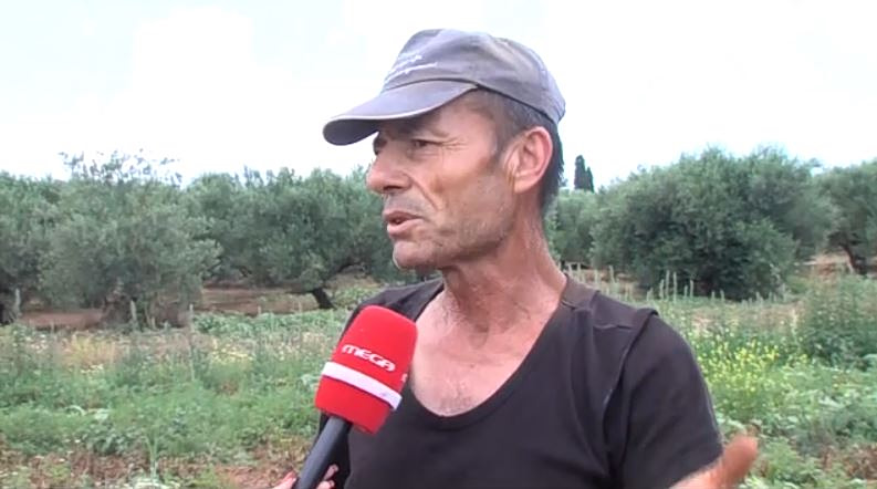 «Βρήκα πεταμένα τον καφέ και το τοστ που μου έφερνε…» – Όσα αποκάλυψε εργάτης του Αλέξανδρου Δασκαλάκη για την υπόθεση