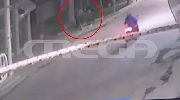 Κώστας Παπαδόπουλος: Στο Αυτόφωρο ο πρώην παίκτης του Survivor για ξυλοδαρμό ανηλίκου
