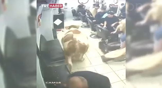 Τουρκία: Πανικός σε κουρείο μετά την εισβολή ταύρου