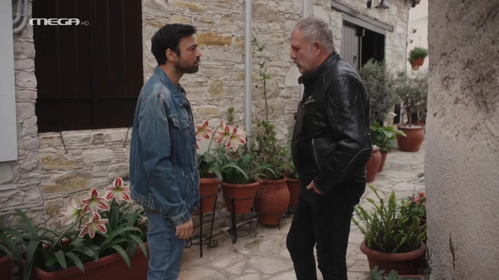 Η Γη της Ελιάς