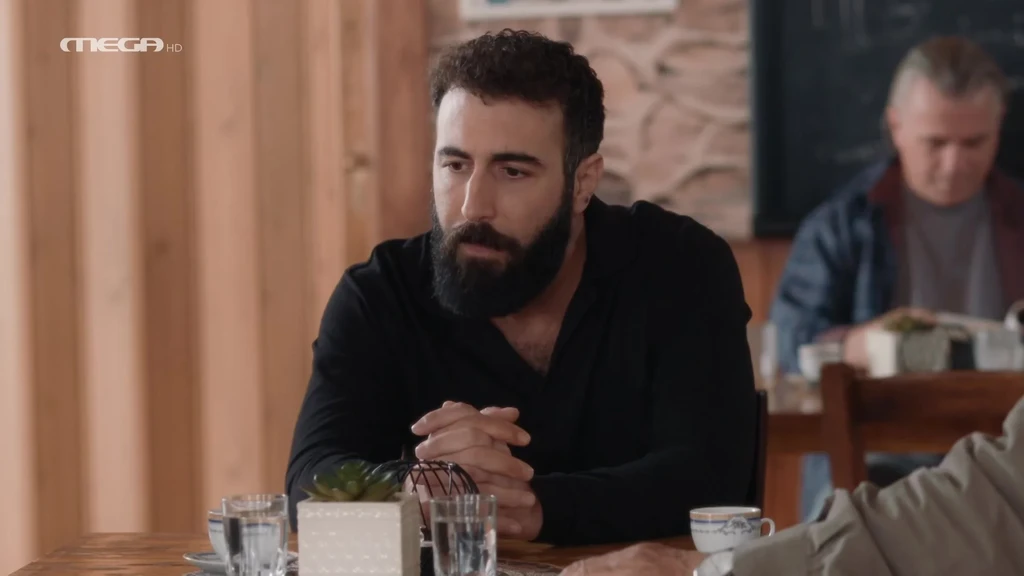 Η Γη της Ελιάς