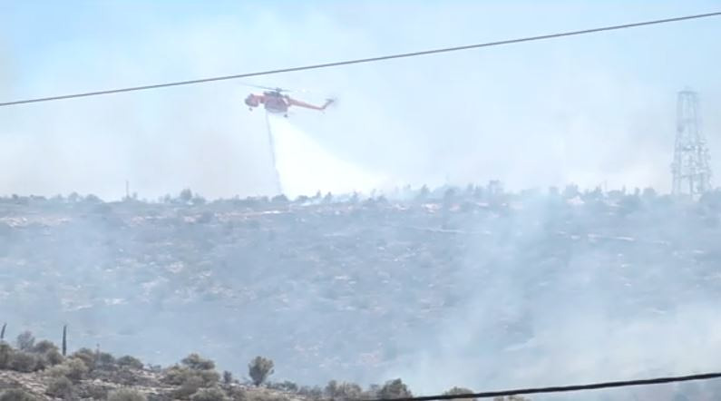 Φωτιά σε δασική περιοχή στην Παλλήνη – Ήχησε στο 112