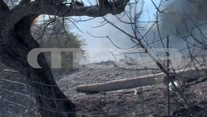 «Πύρινη κόλαση» σε Βοιωτία & Αχαΐα – Μπαράζ του 112 για εκκενώσεις περιοχών