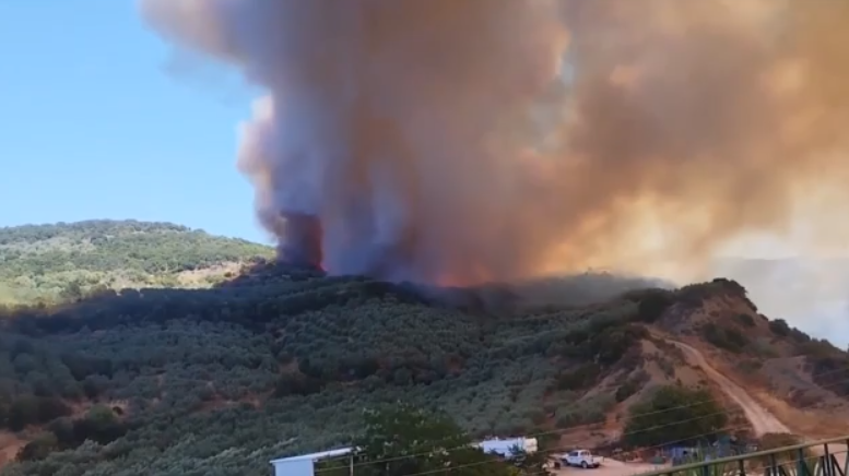 Πύρινα μέτωπα σε όλη τη χώρα – Σε εξέλιξη πυρκαγιά σε Αττική, Άρτα & Βοιωτία