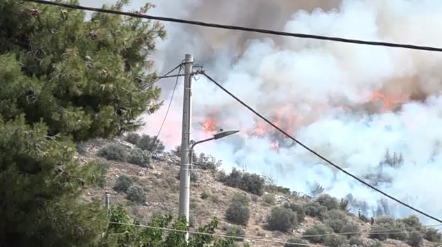 Μεσσηνία: Χειροπέδες σε τρία άτομα για εμπρησμούς – Η δράση & οι εκβιασμοί