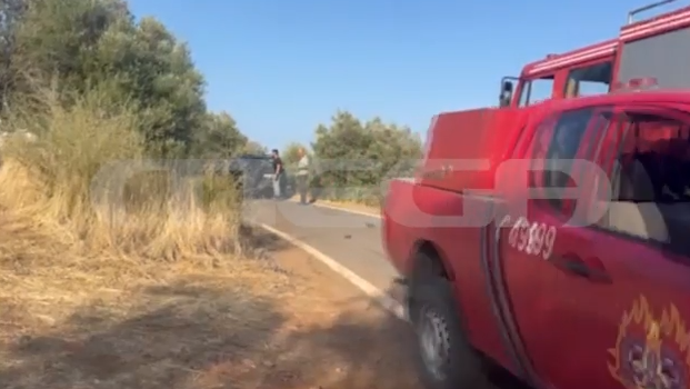 Γύθειο: Νεκρός ο υποδιοικητής της Πυροσβεστικής ενώ επιχειρούσε στην πυρκαγιά – Από παθολογικά αίτια επήλθε ο θάνατός του