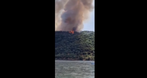Γύθειο: Νεκρός ο υποδιοικητής της Πυροσβεστικής ενώ επιχειρούσε στην πυρκαγιά – Από παθολογικά αίτια επήλθε ο θάνατός του