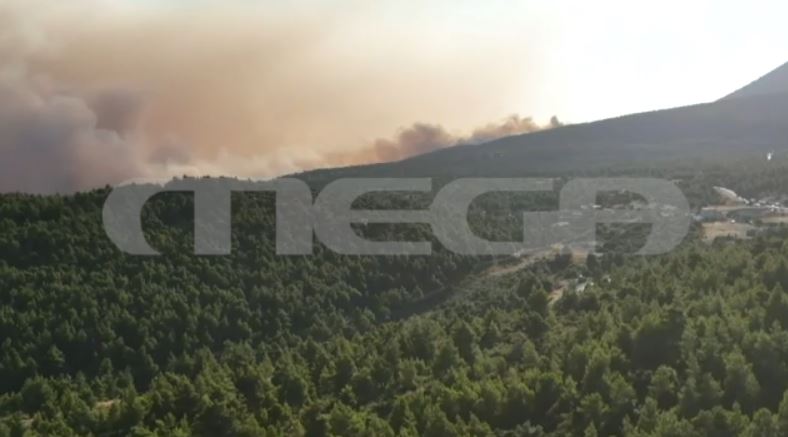 Εικόνες αποκάλυψης στο Πόρτο Γερμενό – Το πύρινο μέτωπο πλησιάζει απειλητικά την Ψάθα