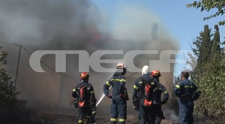 Φωτιά στη Βοιωτία: Ανυπολόγιστες ζημιές από την πύρινη κόλαση