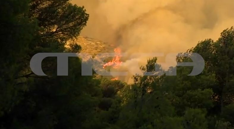 Το MEGA στα πύρινα μέτωπα – Θεριεύει η πυρκαγιά στο Πόρτο Γερμενό