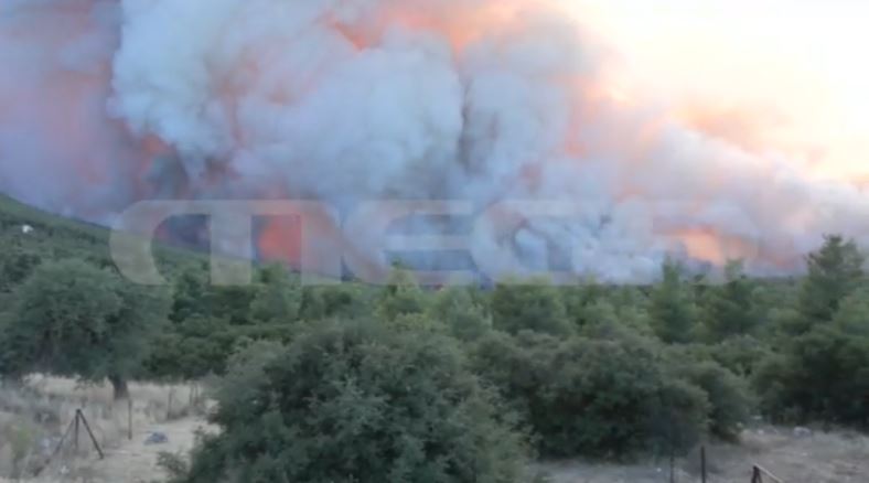 Το MEGA στα μέτωπα της πυρκαγιάς: Μάχη με τις φλόγες και τους θυελλώδεις ανέμους δίνουν οι πυροσβεστικές δυνάμεις – Live όλες οι εξελίξεις