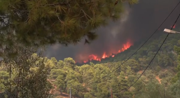 Μάχη με τις αναζωπυρώσεις στη Δυτική Αττική: Βελτιωμένη η εικόνα στην Ψάθα