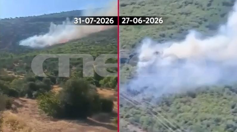 Βίντεο ντοκουμέντο του MEGA από την φωτιά στη Βοιωτία – Το σημείο «μηδέν» της καταστροφικής πυρκαγιάς που κατακαίει τη Δυτική Αττική