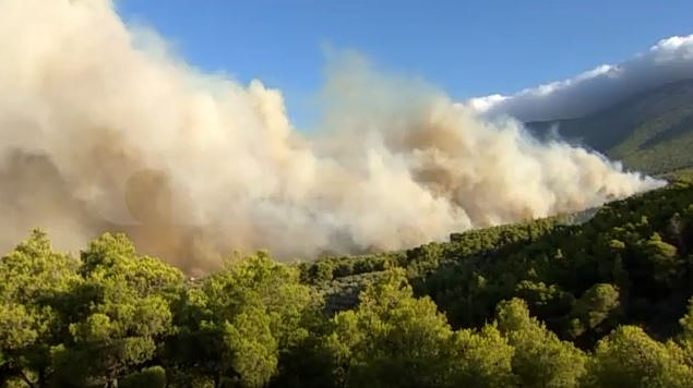 Φωτιές: Πώς θα προστατευτούμε από τον καπνό – Ειδικοί αναλύουν