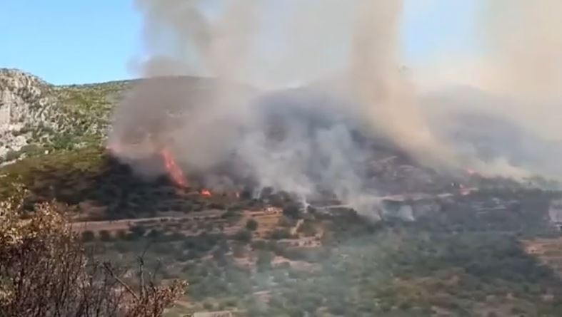 Πύρινος εφιάλτης στην Κεφαλονιά – Μπαράζ μηνυμάτων από το 112, εκκενώσεις και αγωνία