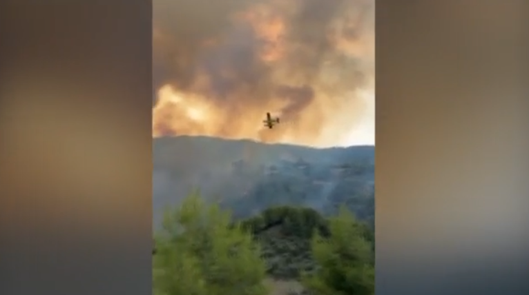 Μεγάλη φωτιά σε δάσος στο Μουζάκι Ηλείας – Επιχειρούν εναέρια μέσα