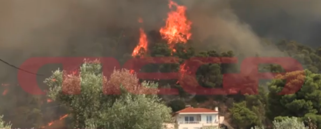 Το MEGA στα πύρινα μέτωπα – Κοντά στα σπίτια στην Ψάθα η φωτιά