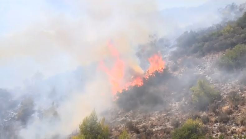 Φωτιά στην Σαλαμίνα: Εντοπίστηκαν δύο σοροί κοντά στο πύρινο μέτωπο – Κάηκαν σπίτια, εκκενώνονται οικισμοί