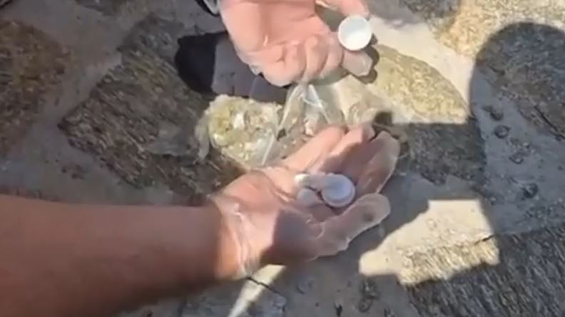 Μύκονο: Συνελήφθησαν δυο 23χρονοι για διακίνηση ναρκωτικών – Πώς δρούσαν