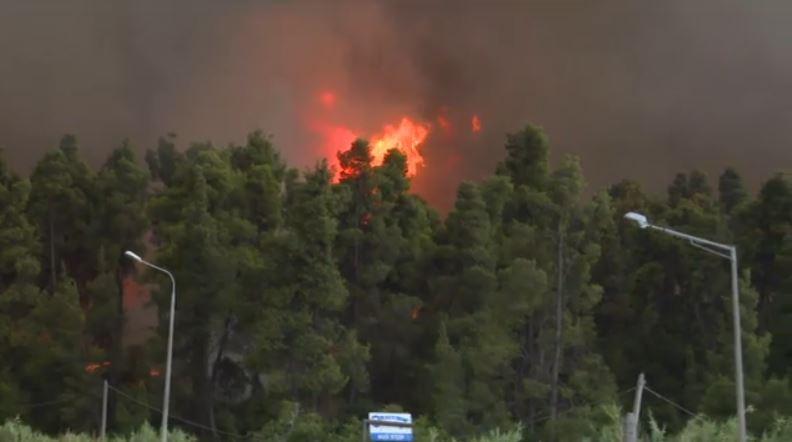 Χαλκιδική: Στάχτη και αποκαΐδια άφησε πίσω της η μεγάλη φωτιά – Απεγκλωβίστηκαν 481 άτομα διά θαλάσσης