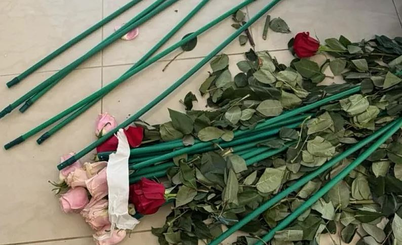 Αττική: Έκρυβαν 84 κιλά κοκαΐνης σε τριαντάφυλλα – 4 συλλήψεις